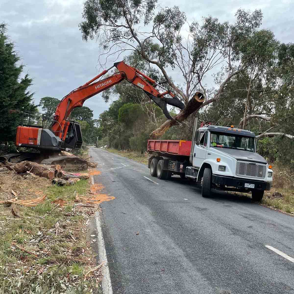 Excavator lifting tree logs into a red bin on a truck beside a country road