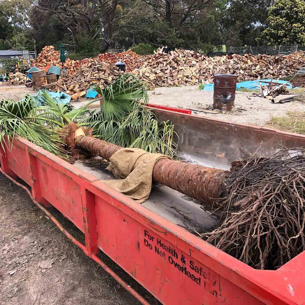 Red bin loaded with a felled palm tree trunk, roots and fronds